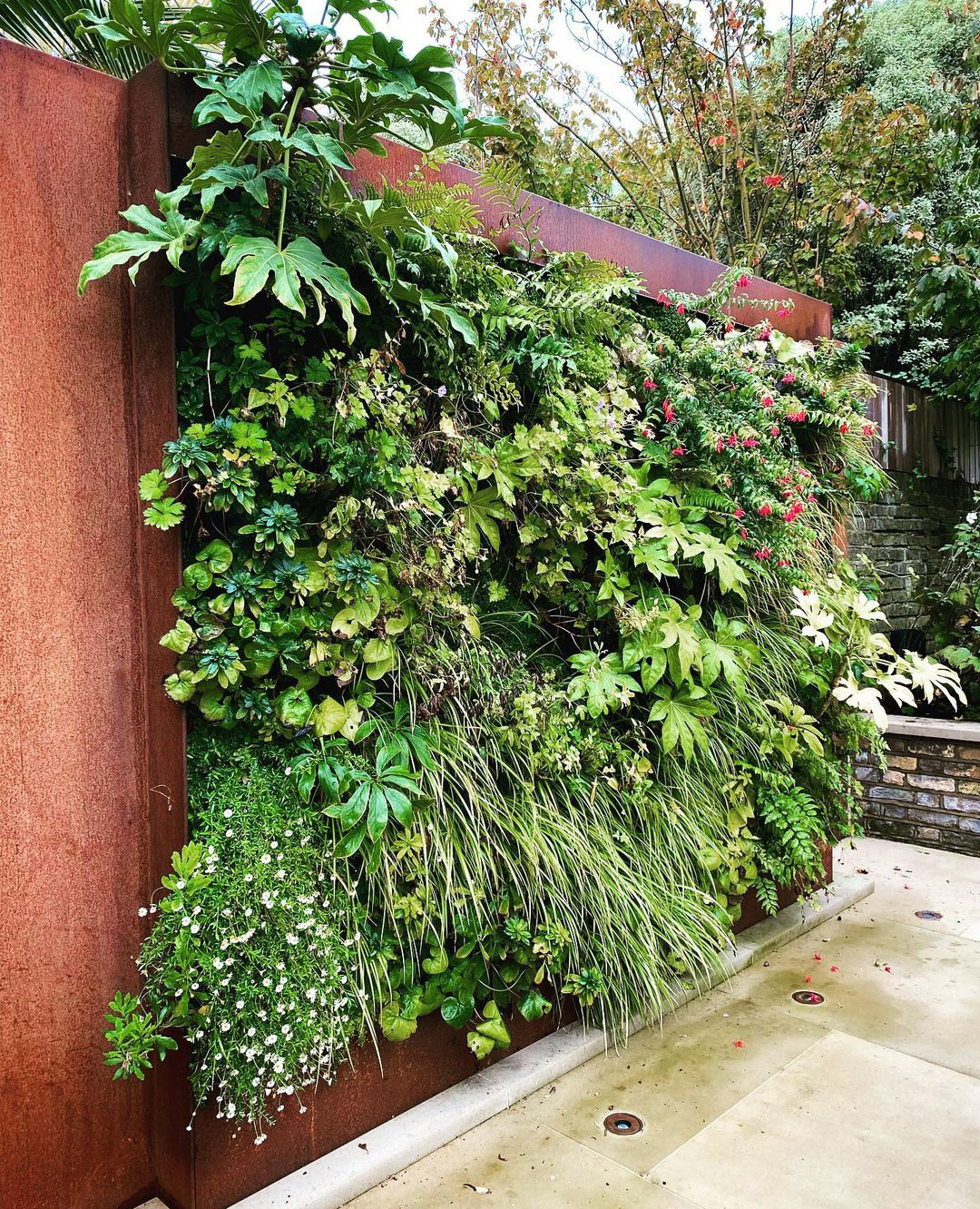 taman vertikal outdoor » Ingin Punya Taman Di Lahan Rumah Yang Minim, Ini Solusinya.