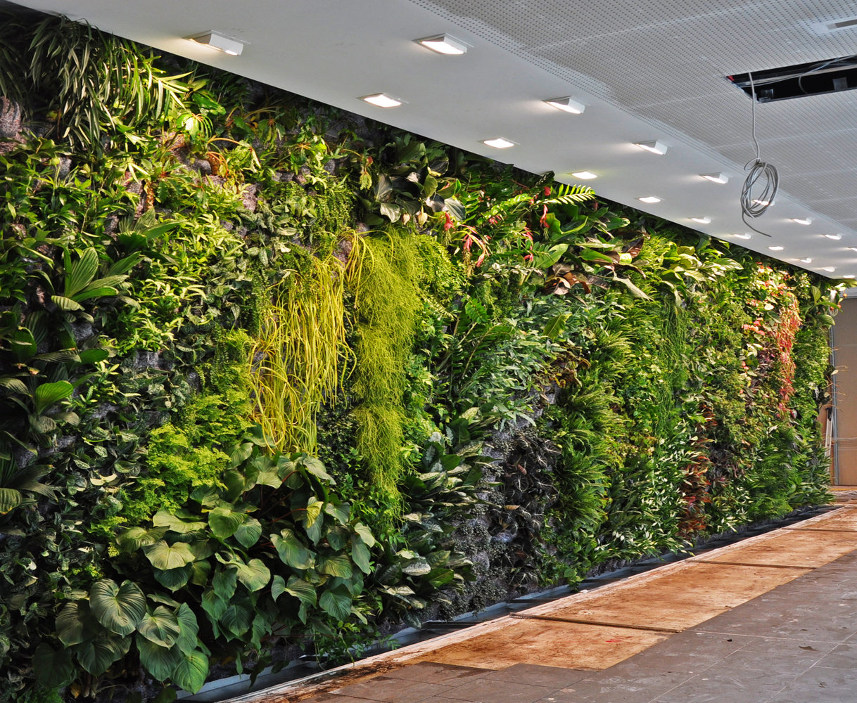 vertical garden 854 » Ingin Punya Taman Di Lahan Rumah Yang Minim, Ini Solusinya.
